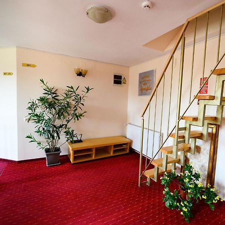 Pensiunea Irish Mediaş Extérieur photo