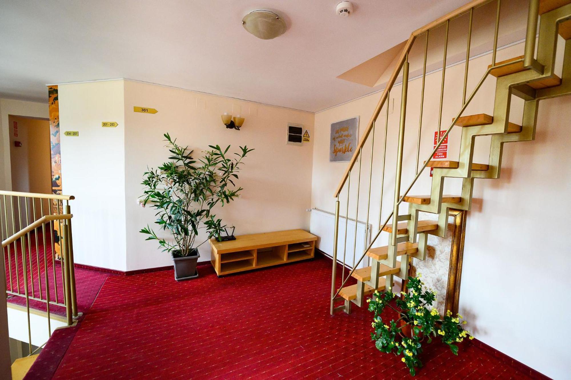 Pensiunea Irish Mediaş Extérieur photo